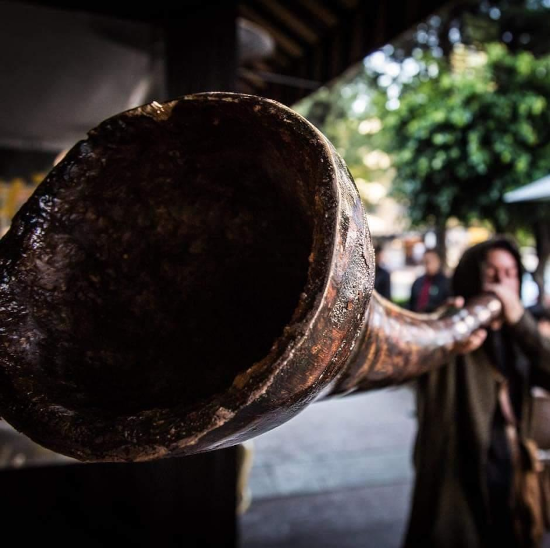 Similar to a didgeridoo, a hompax is made from hollowed-out plant material